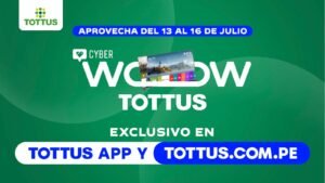 Del presupuesto a la entrega: cinco aspectos que debes considerar antes de comprar en el Cyber Wow